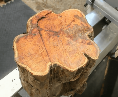 yew wood piece