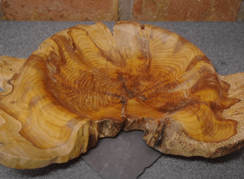yew wood used